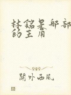 林铭是哪部小说的主角