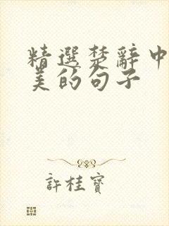 精选楚辞中最唯美的句子