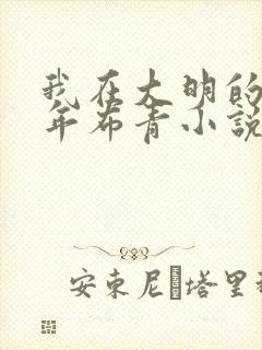 我在大明的那些年布青小说