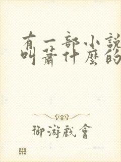 有一部小说主角叫萧什么的