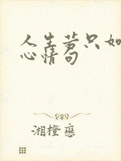 人生若只如初见心情句