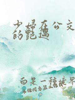 少妇在公交车上的艳遇