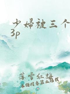 少妇被三个黑人3p