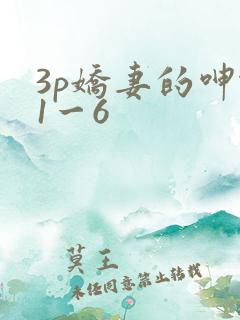 3p娇妻的呻吟1一6