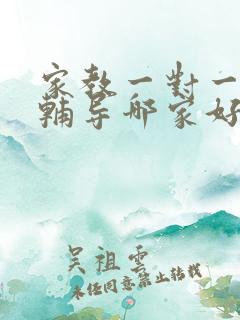 家教一对一上门辅导哪家好