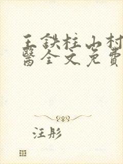 王铁柱山村小神医全文免费阅读