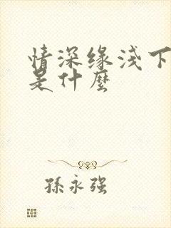 情深缘浅下一句是什么