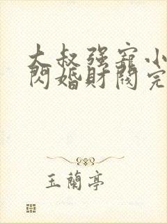 大叔强宠小娇妻闪婚财阀完整