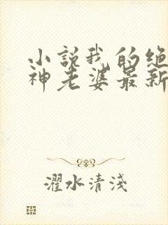 小说我的绝美女神老婆最新章节