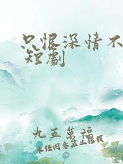 只恨深情不识鸢 短剧