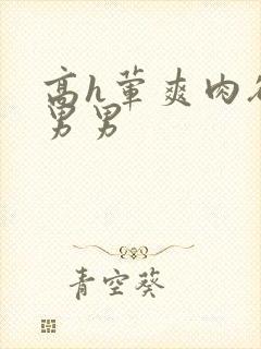 高h荤爽肉欲文男男