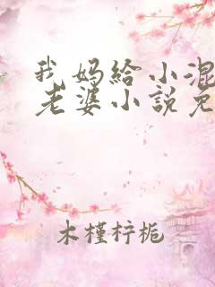 我妈给小混混当老婆小说免费阅读