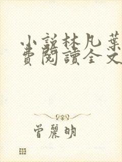 小说林凡叶惜免费阅读全文最新章节