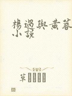 杨过与黄蓉云雨小说