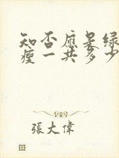 知否应是绿肥红瘦一共多少集