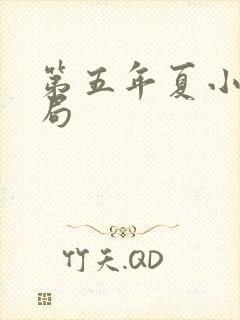 第五年夏小说结局