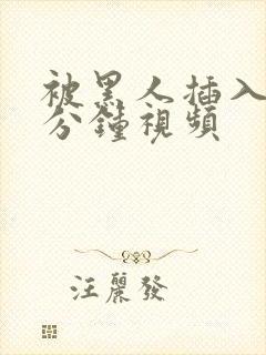 被黑人插入30分钟视频