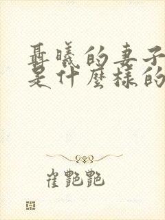 聂曦的妻子结局是什么样的