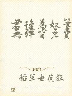 君后为奴笔趣阁无弹窗免费阅读