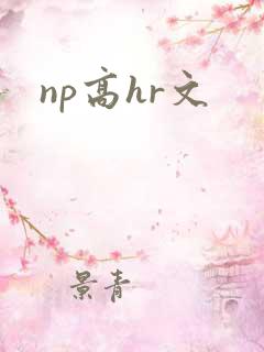 np高hr文