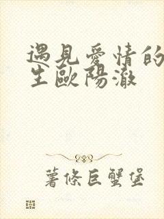 遇见爱情的利先生欧阳澈