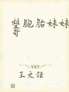 双胞胎妹妹和哥哥