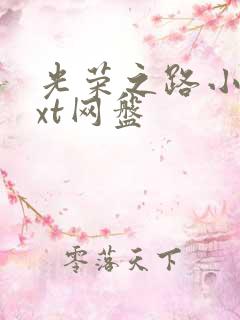 光荣之路小说txt网盘