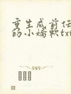 重生成前任叔叔的小娇软txt下载