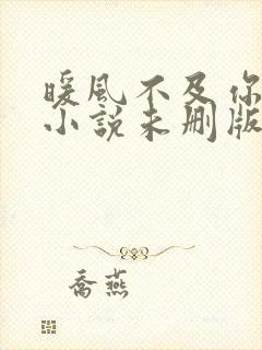 暖风不及你情深小说未删版完整