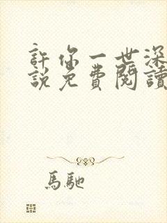 许你一世深情小说免费阅读