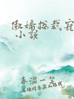 傲娇总裁宠上瘾 小说