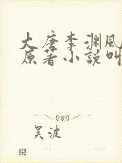 大唐李渊风流录原著小说叫什么名字