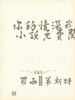 你的情深我不配 小说免费阅读