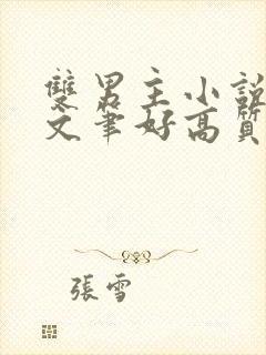 双男主小说推荐文笔好高质量完结