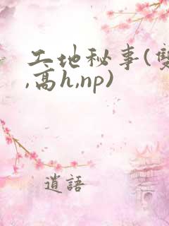 工地秘事(双性,高h,np)