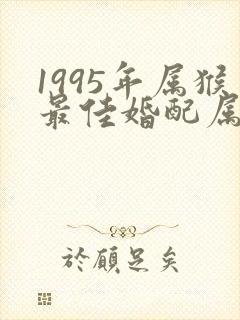 1995年属猴最佳婚配属相