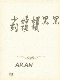 少妇媚黑黑人系列视频