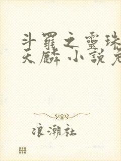 斗罗之灵珠神剑天麟 小说免费阅读