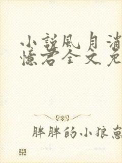 小说风月消弭不忆君全文免费阅读