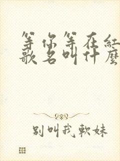 等你等在红尘中歌名叫什么