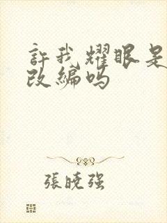 许我耀眼是小说改编吗