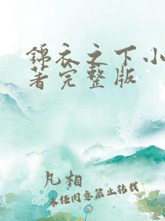 锦衣之下小说原著完整版