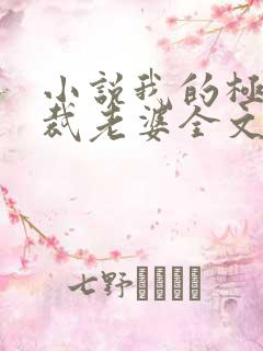 小说我的极品总裁老婆全文免费