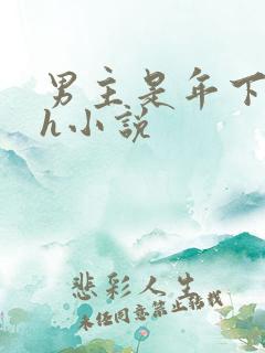 男主是年下的高h小说