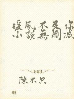 暖风不及你情深小说无删减在线阅读