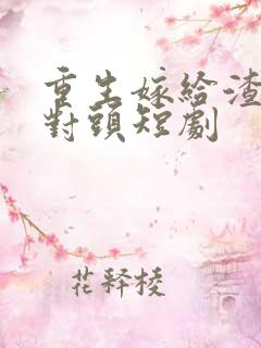 重生嫁给渣男死对头短剧