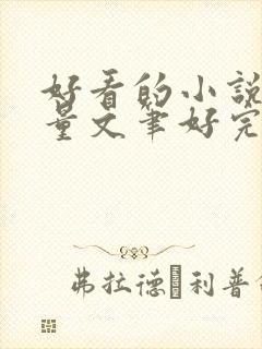 好看的小说高质量文笔好完结