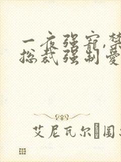 一夜强宠,禁欲总裁强制爱