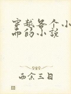 穿越各个小说位面的小说