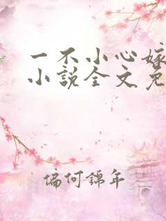 一不小心嫁总裁小说全文免费阅读